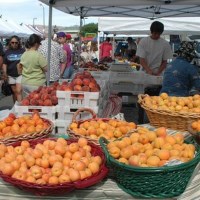 farmers,markets,produce,food,shopping,activities,Reno,Sparks,Nevada,NV